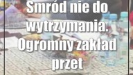 Smród nie do wytrzymania.  Ogromny zakład przetwarza padłe zwierzęta