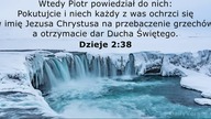 Janek Pajor - Świat nie jest domem