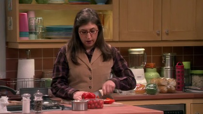 Teoria wielkiego podrywu - S10E10