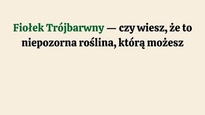  Fiołek Trójbarwny (Bratek Polny)  Naturalny sposób na cerę i alergie?