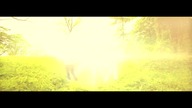 Kleszcz & DiNO - Spacer ft.  Lilu (official video) HORRYM JESTEM