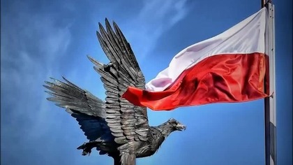 Top One - Made In Poland