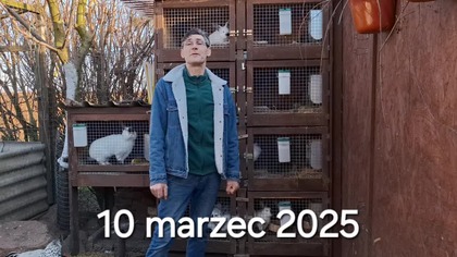W Garden kuRaż * Grizella nie żyje - pozostawiła czterotygodniowe sierotki * 10.  03.  2025