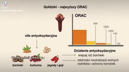 Zwykły goździk i jego niezwykłe możliwość #goździk #natura #zdrowie #lekarstwo #życie