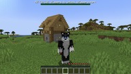 MINECRAFT. ALE MAM NIESTANDARDOWE SERCA