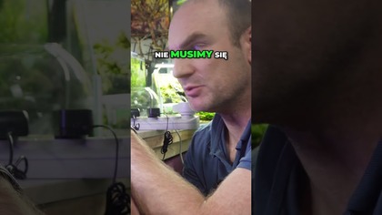 10 poziomów jasności  jak to ustawić? 
