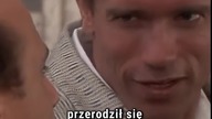 BLIŹNIACY - zamiast sequela powstał inny film? #blizniacy #twins #arnoldschwarzenegger