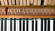 RAT DANCE PIANO tutorial chees type #ratdance #chesstypebeat #pianotutorial