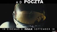 Zbigniew Stonoga goni pedofila ( AD POCZTA )