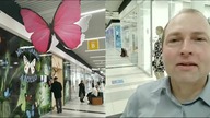 Butterfly Place in Warsaw / Motylarnia w Warszawie