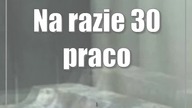 Na razie 30 pracowników, ale będzie więcej