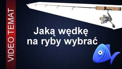 Jaką wybrać wędkę na ryby