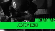 Jak zagrać #466: Jestem Dziki - Elektryczne gitary | PTA: 4/6 | SoundFarm