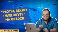 Płotki, rekiny i wieloryby - kto inwestuje na polskiej giełdzie? / Nic za darmo #204