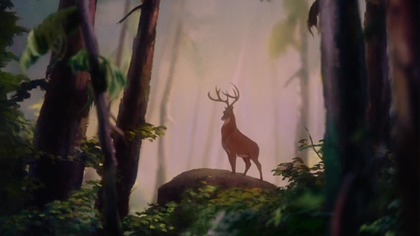 The story of a young deer growing up in the forest.