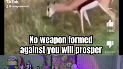 Dziki przykład Bożej ochrony #wiara #jezus #fyp #shorts #short