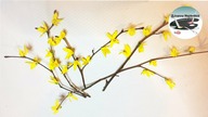 Jak zrobić kwiaty forsycji do dekoracji [FORSYTHIA FLOWER FOR DECORATION] - Pomysły plastyczne DiY