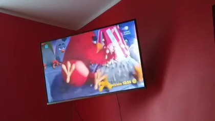 [CAMRIP] Polsat Rodzina Poland [03.02.2024] - Continuity
