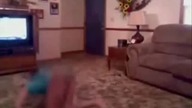 Salto
