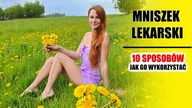 SOK Z MNISZKA - 10 sposobów na wkorzystanie mniszka lekarskiego