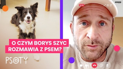 PSOTY | Telekonferencja Borysa Szyca i Sprytka | Kino Świat