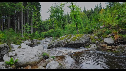 Endless Stream- Forest Brook Sound for Sleep, Relaxation & Concentration
