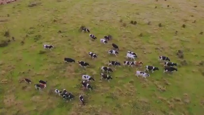 Disenando tu amor 001 Napisy PL