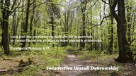 swiadectwo Urszuli Dabrowskiej