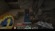 Ocean #minecraft #gaming #game #Short #Shorts #Water #Cave #Flood #Cat #Kitty #Cats #Dog