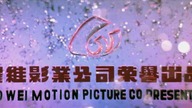 Tajemna księga węża i żurawia. Snake and Crane Arts of Shaolin. 1978.pl. 720p. x264-NN