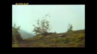 Niedżwidek... VID-1741328431568