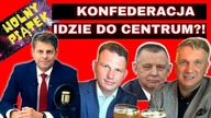 Skarga na Niemcy ws śmieci, odwet Ukrainy, Mentzen, Banaś, Wipler - prof.  Mirosław Piotrowski