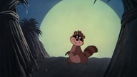 Myszka Miki - Polowanie na szopa