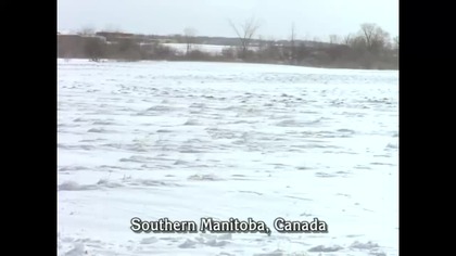 Due South....S02E14