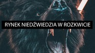 Ogromne przeceny na rynku.  To już bessa czy to dalej tylko korekta?