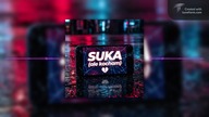 Poczciwy Marek × RapHeart - SUKA (ale kocham) (Official Videos Music Visual)