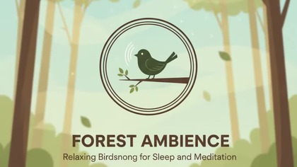 Sunset Birdsong by the Lake  Evening Nature Sounds for Relaxation & Calm