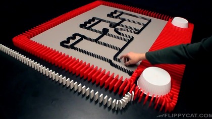 Domino    