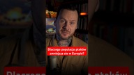 Dlaczego populacja ptaków w Europie się zmniejsza?#zwierzęta #nauka #ekologia #rolnictwo