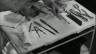 Narzeczona Frankensteina(1935)