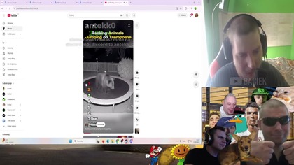 Dawid Jasper | NIESAMOWITY FILMIK