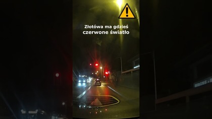 Złotówa ma gdzieś czerwone światło #shorts #rikordwidjo