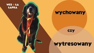 Wychowany czy wytresowany