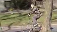 Panienka z okienka