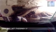 MetrowyTV Niedziela_HIT TYGODNIA_Family, hobby, relax time