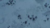 Stranger Things 4 - czym jeszcze zaskoczą nas twórcy hitu Netflixa?!