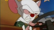 Pinky i M&oacute;zg S03E27 - Wolny Wiecz&oacute;r/Plażowe mambo