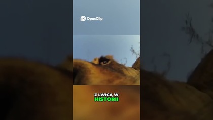 Nurkowanie z krokodylami! 