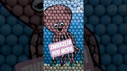 Zwierzęta pod wodą z piłkami - ośmiornica