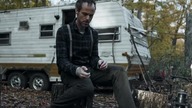 Woodland Grey 2021 ENG